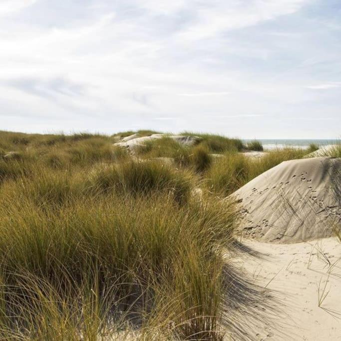 Le Rosa: Villa De Charme Entre Mer Et Pinede Quend Bagian luar foto