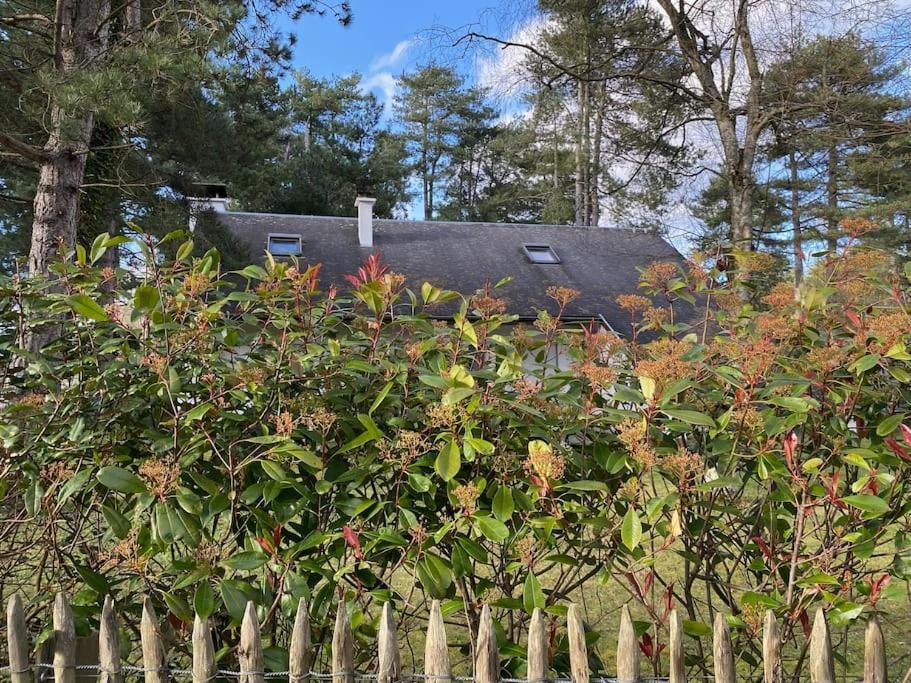 Le Rosa: Villa De Charme Entre Mer Et Pinede Quend Bagian luar foto