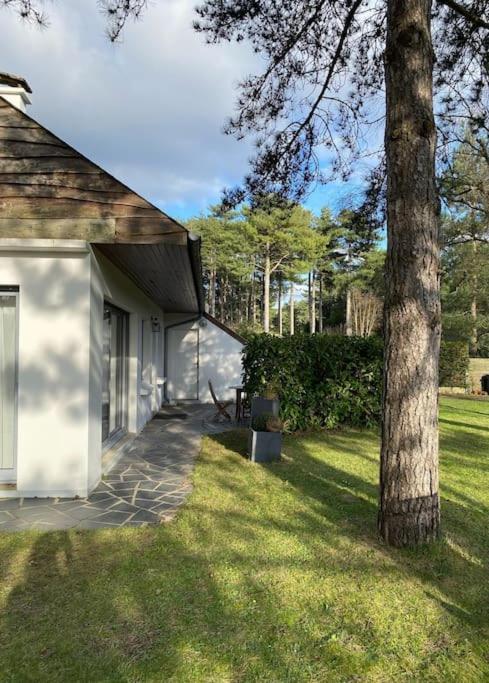Le Rosa: Villa De Charme Entre Mer Et Pinede Quend Bagian luar foto