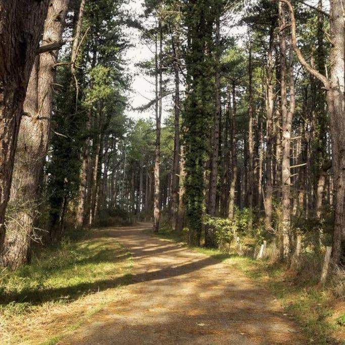 Le Rosa: Villa De Charme Entre Mer Et Pinede Quend Bagian luar foto